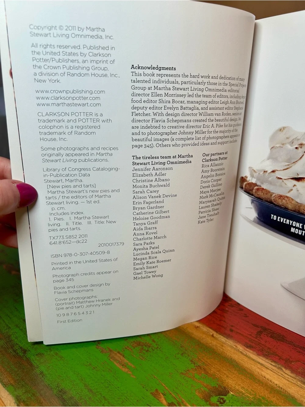 Martha Stewart’s New Pies & Tarts Cookbook 150 Recipes EUC